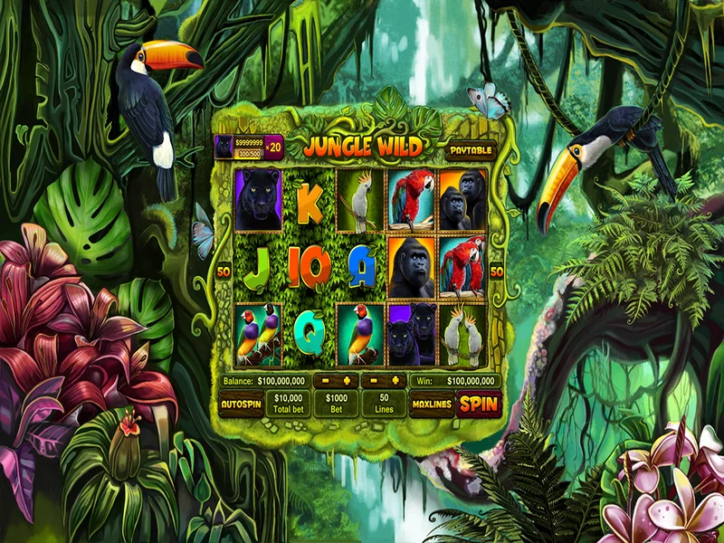 Đắm chìm vào thế giới phần thưởng trong JungleJungle